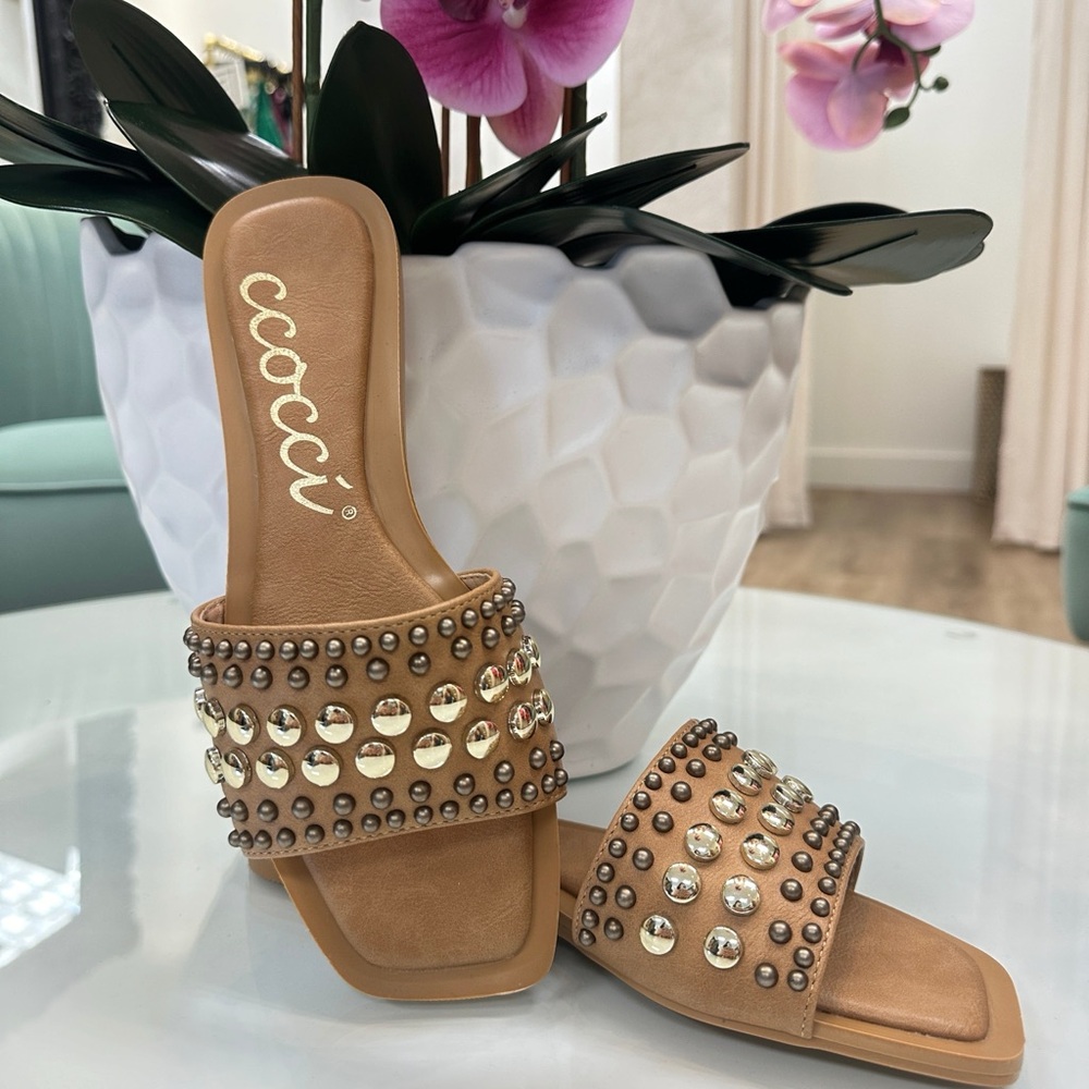Brand new slides.